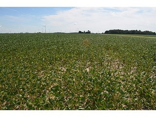 Property photo 24 - 233 +/- Acres Offered in 3 Tracts, Ohio Land Auction